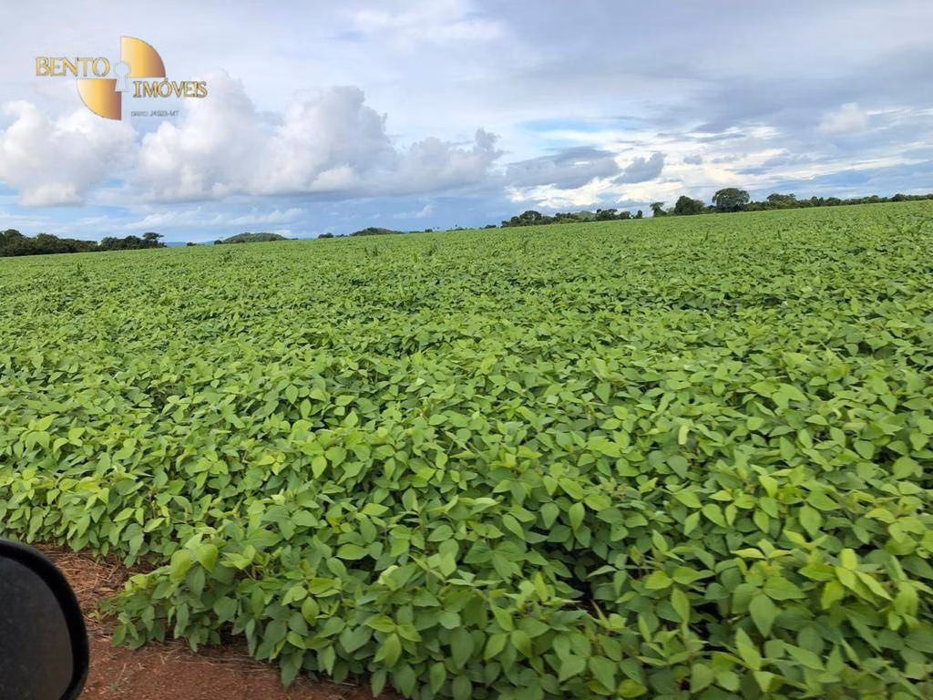 Fazenda de 39.000 ha em Confresa, MT