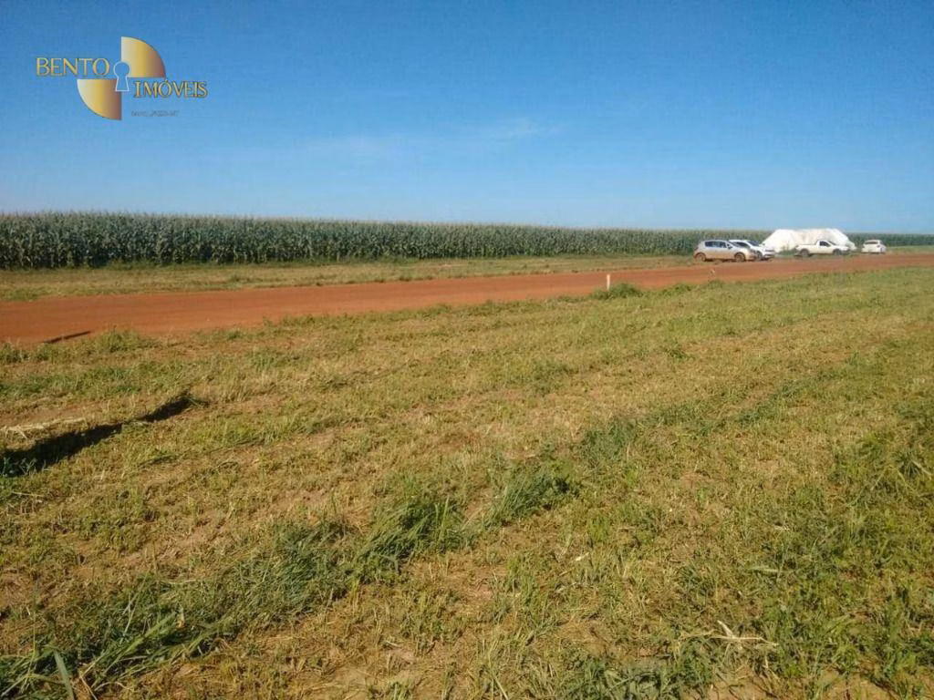 Fazenda de 39.000 ha em Confresa, MT