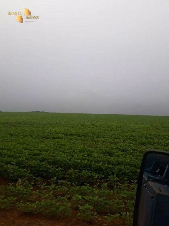 Fazenda de 39.000 ha em Confresa, MT