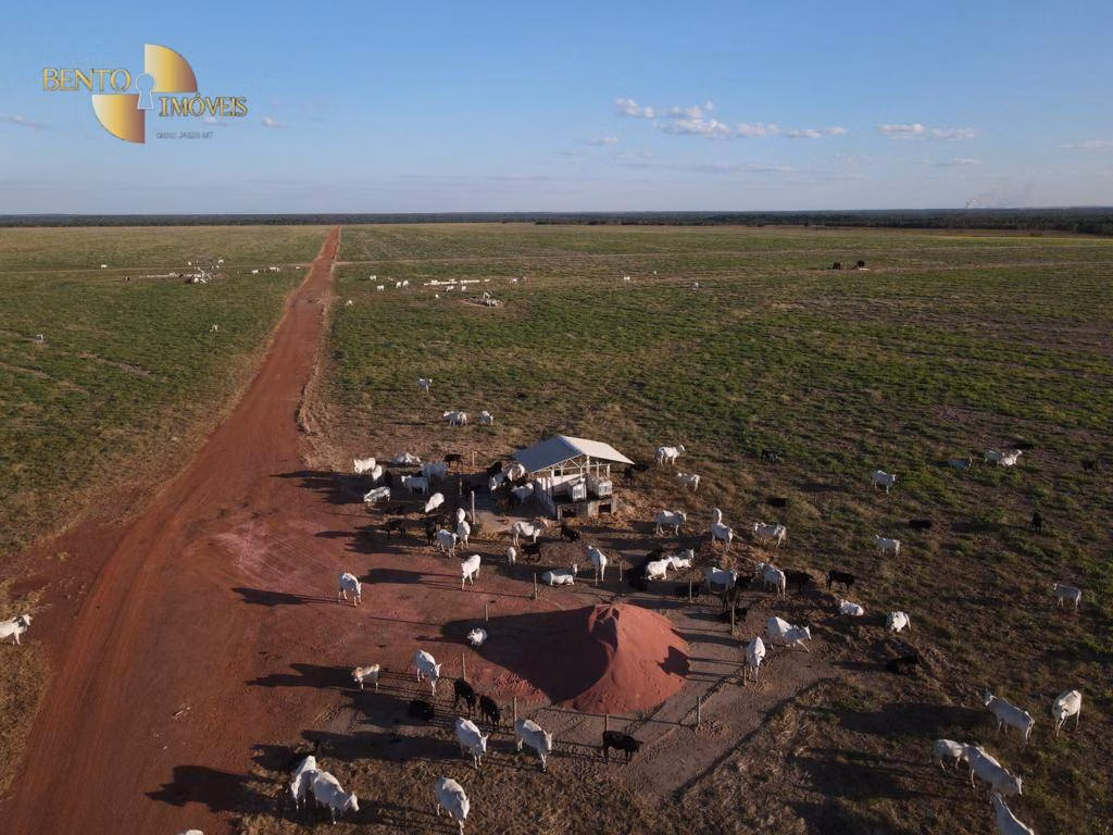 Fazenda de 39.000 ha em Confresa, MT