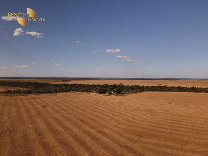 Fazenda de 39.000 ha em Confresa, MT