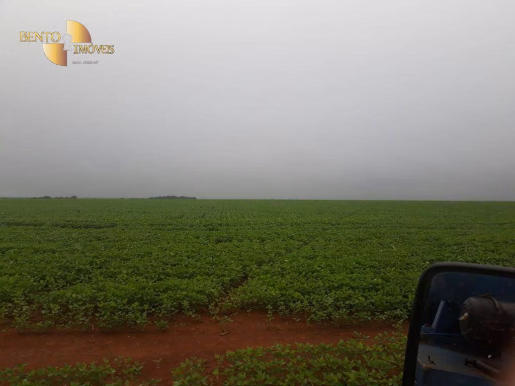 Fazenda de 39.000 ha em Confresa, MT