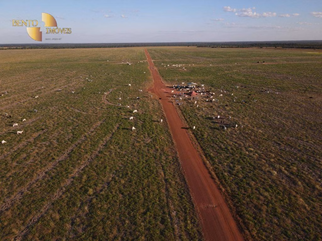 Fazenda de 39.000 ha em Confresa, MT