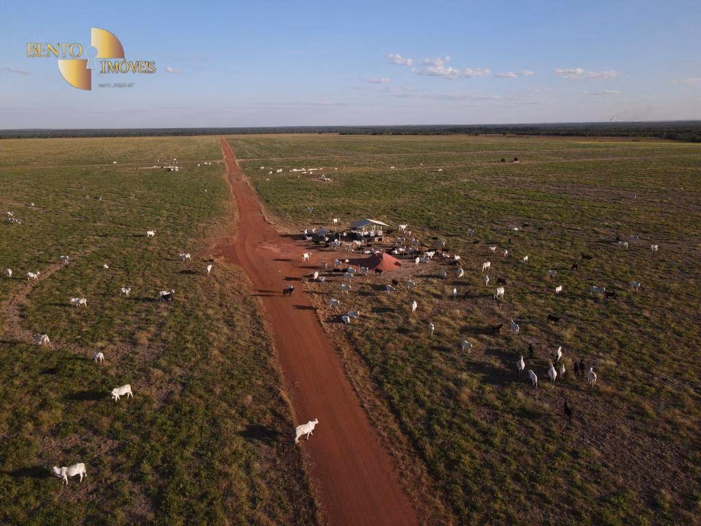 Fazenda de 39.000 ha em Confresa, MT
