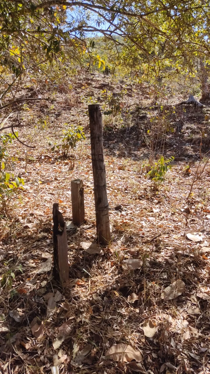 Small farm of 334 acres in Barro Alto, GO, Brazil