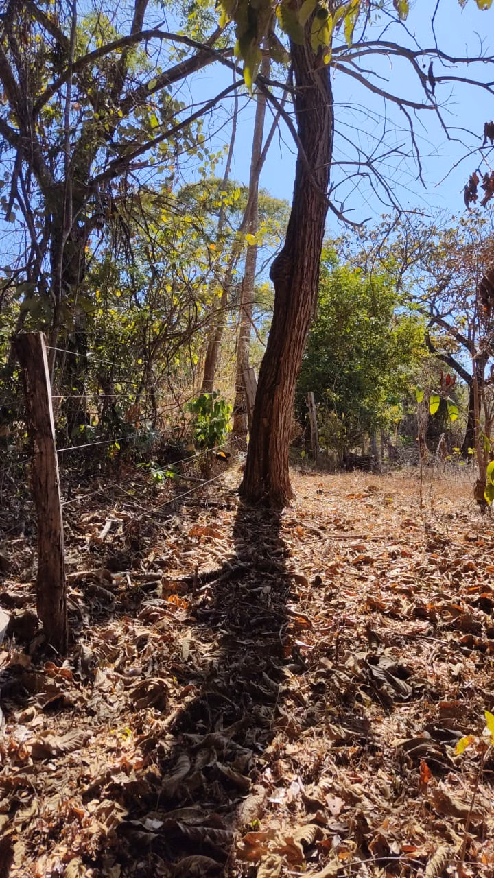 Small farm of 334 acres in Barro Alto, GO, Brazil