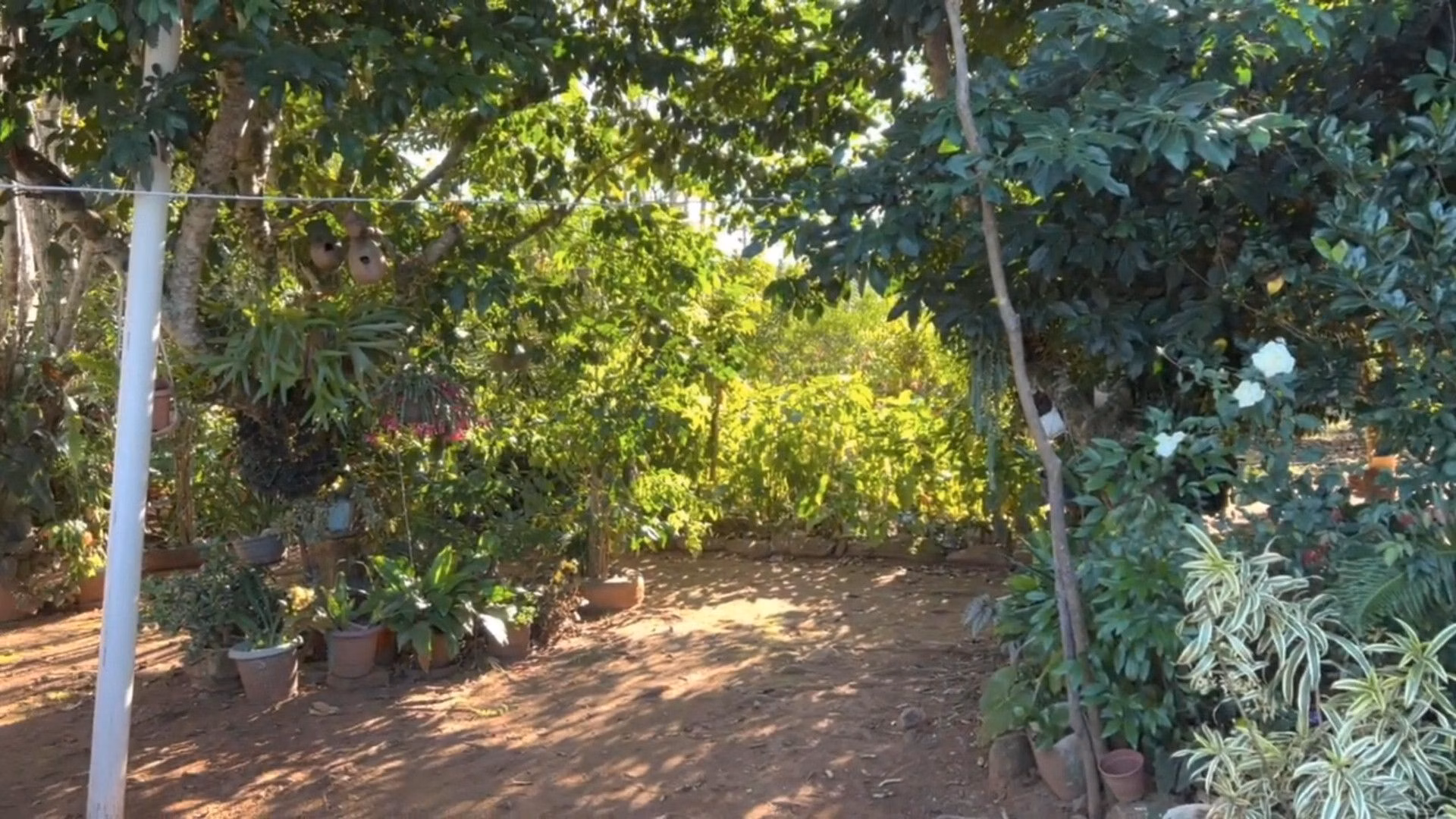 Chácara de 3.900 m² em Igrejinha, RS