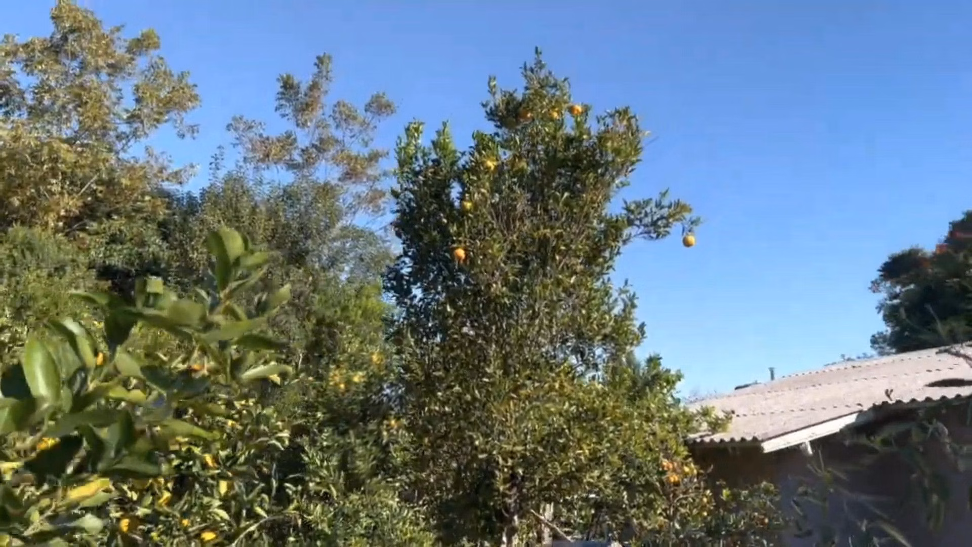 Chácara de 3.900 m² em Igrejinha, RS