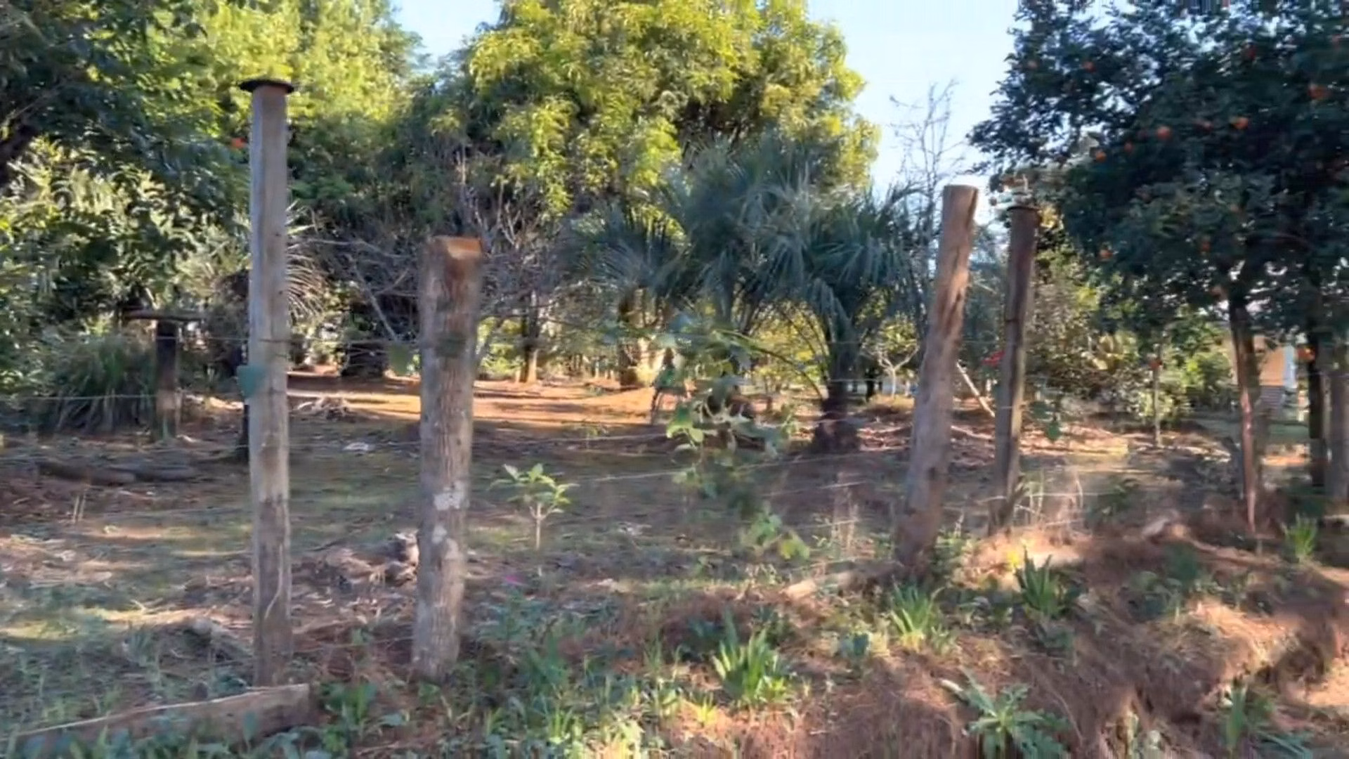 Chácara de 3.900 m² em Igrejinha, RS