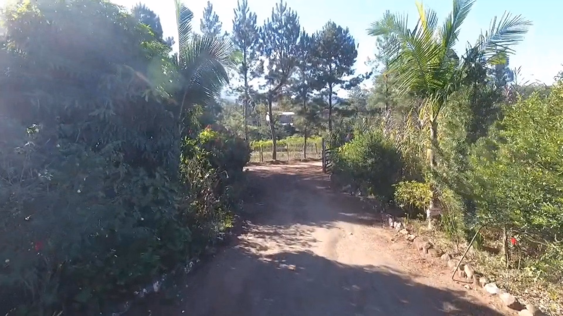 Chácara de 3.900 m² em Igrejinha, RS