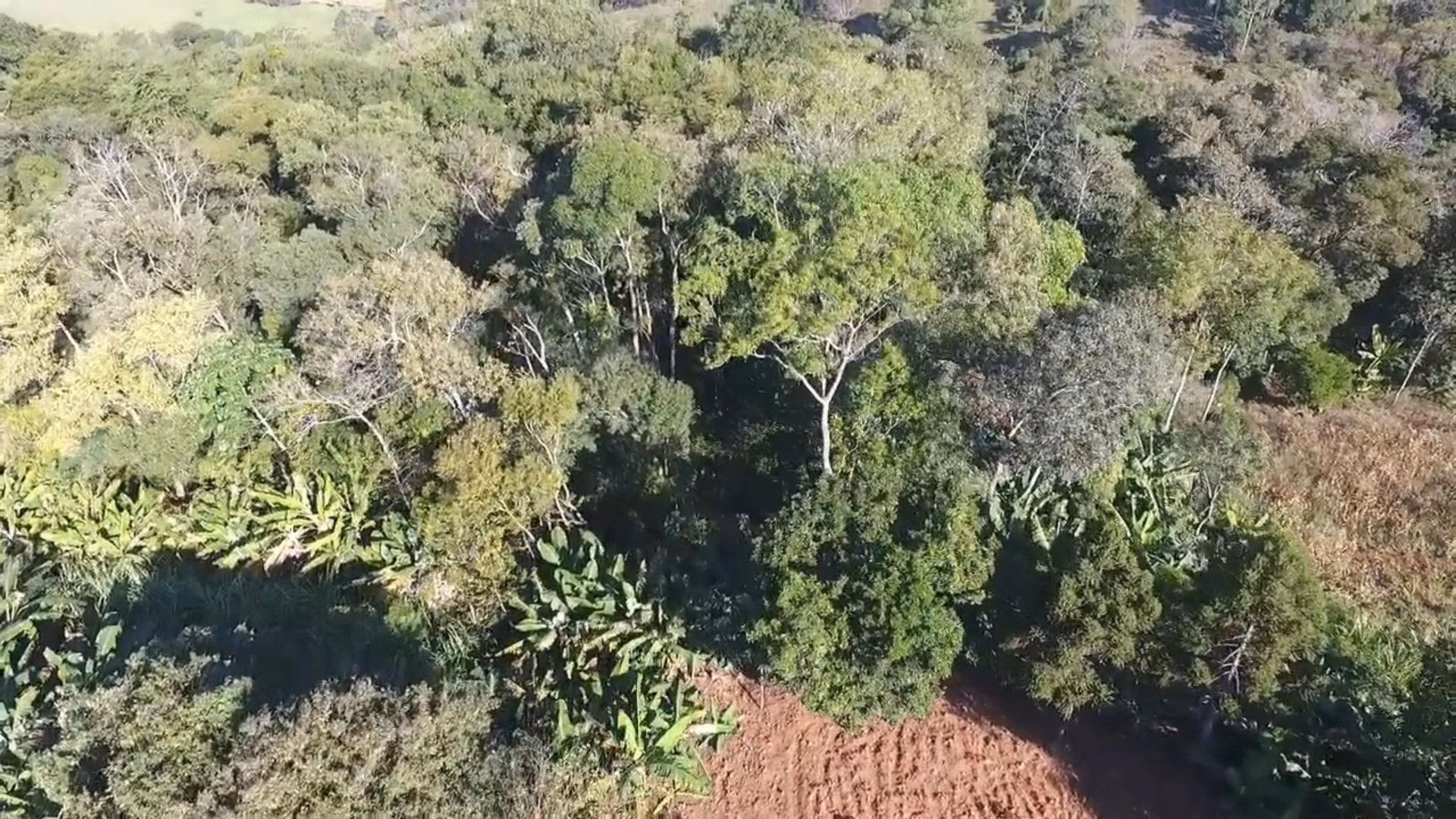 Chácara de 3.900 m² em Igrejinha, RS