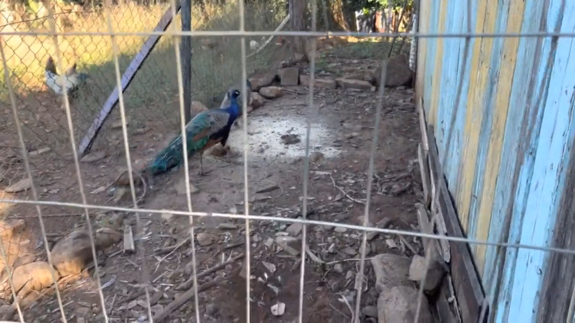 Chácara de 3.900 m² em Igrejinha, RS