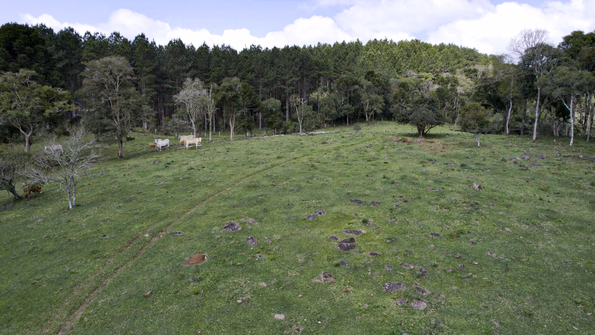 Terreno de 14 ha em Ponte Alta, SC