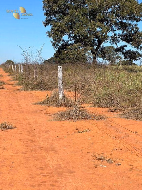 Fazenda de 4.644 ha em Araguaína, TO