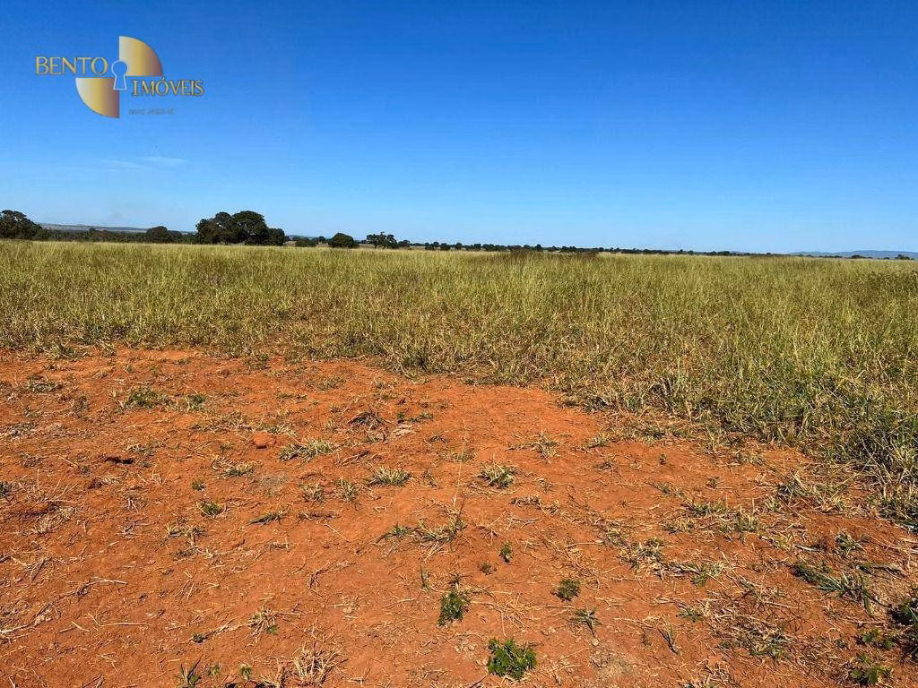 Fazenda de 4.644 ha em Araguaína, TO