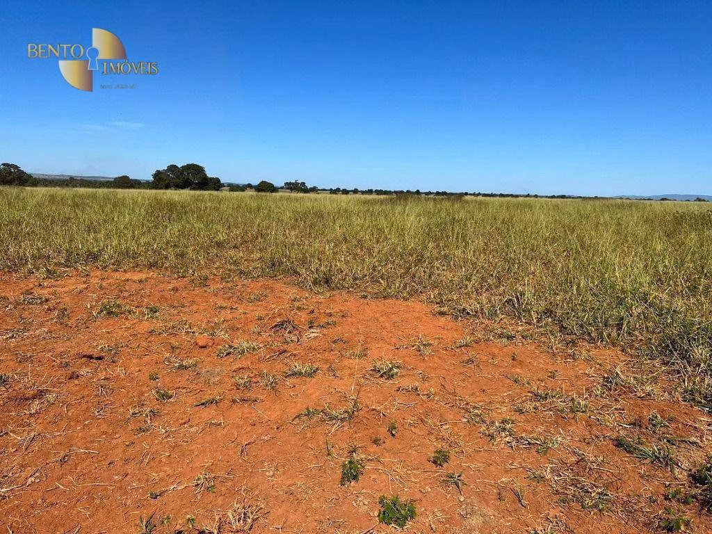 Fazenda de 4.644 ha em Araguaína, TO