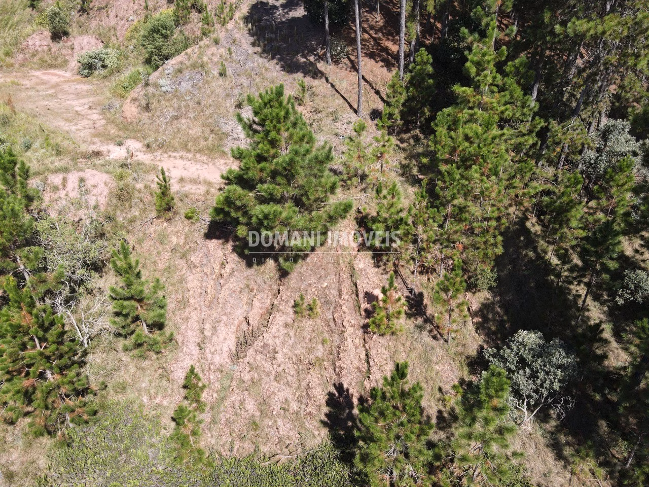 Plot of 1,800 m² in Campos do Jordão, SP, Brazil