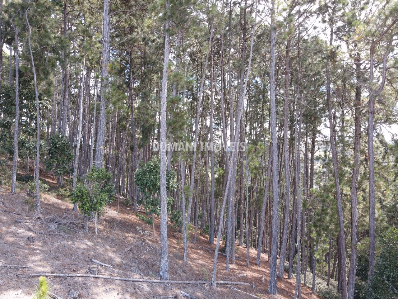 Plot of 1,800 m² in Campos do Jordão, SP, Brazil