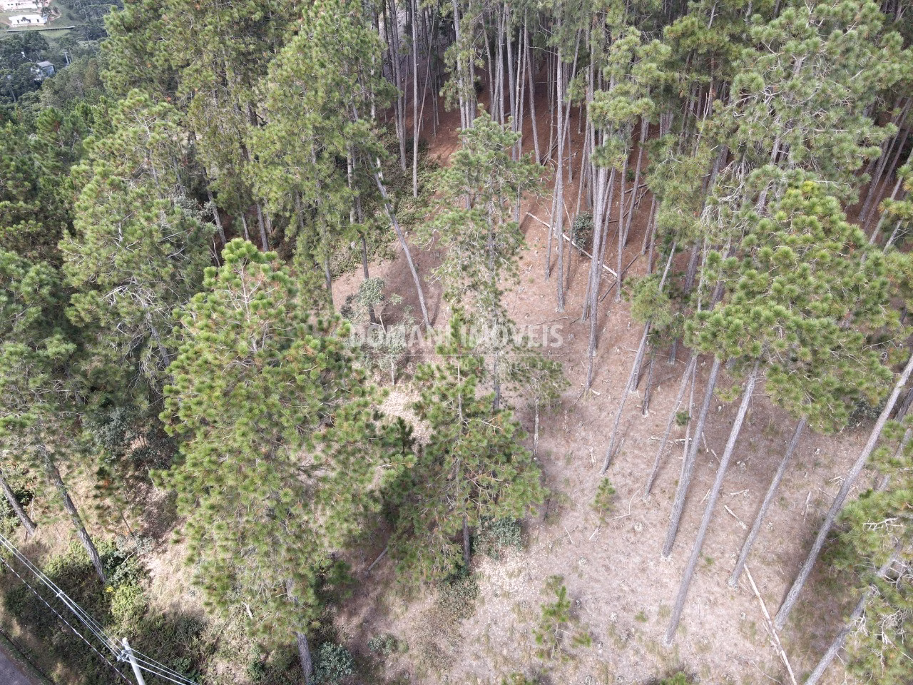 Plot of 1,800 m² in Campos do Jordão, SP, Brazil