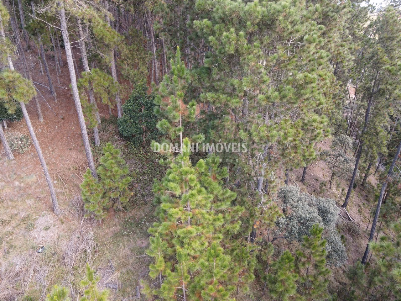 Plot of 1,800 m² in Campos do Jordão, SP, Brazil