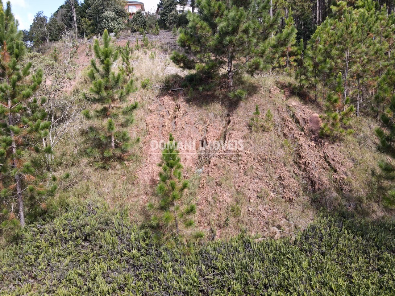 Plot of 1,800 m² in Campos do Jordão, SP, Brazil