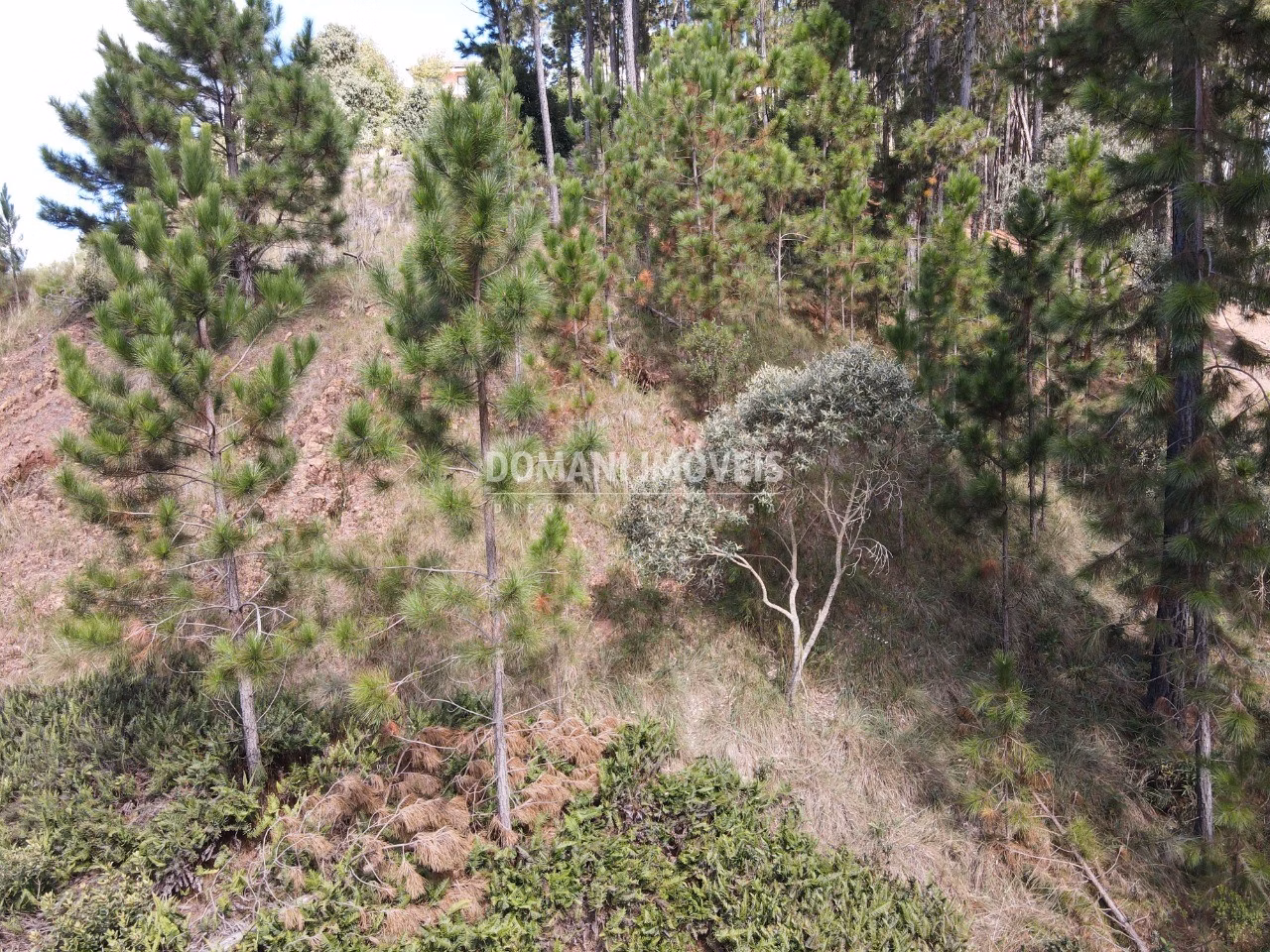Plot of 1,800 m² in Campos do Jordão, SP, Brazil
