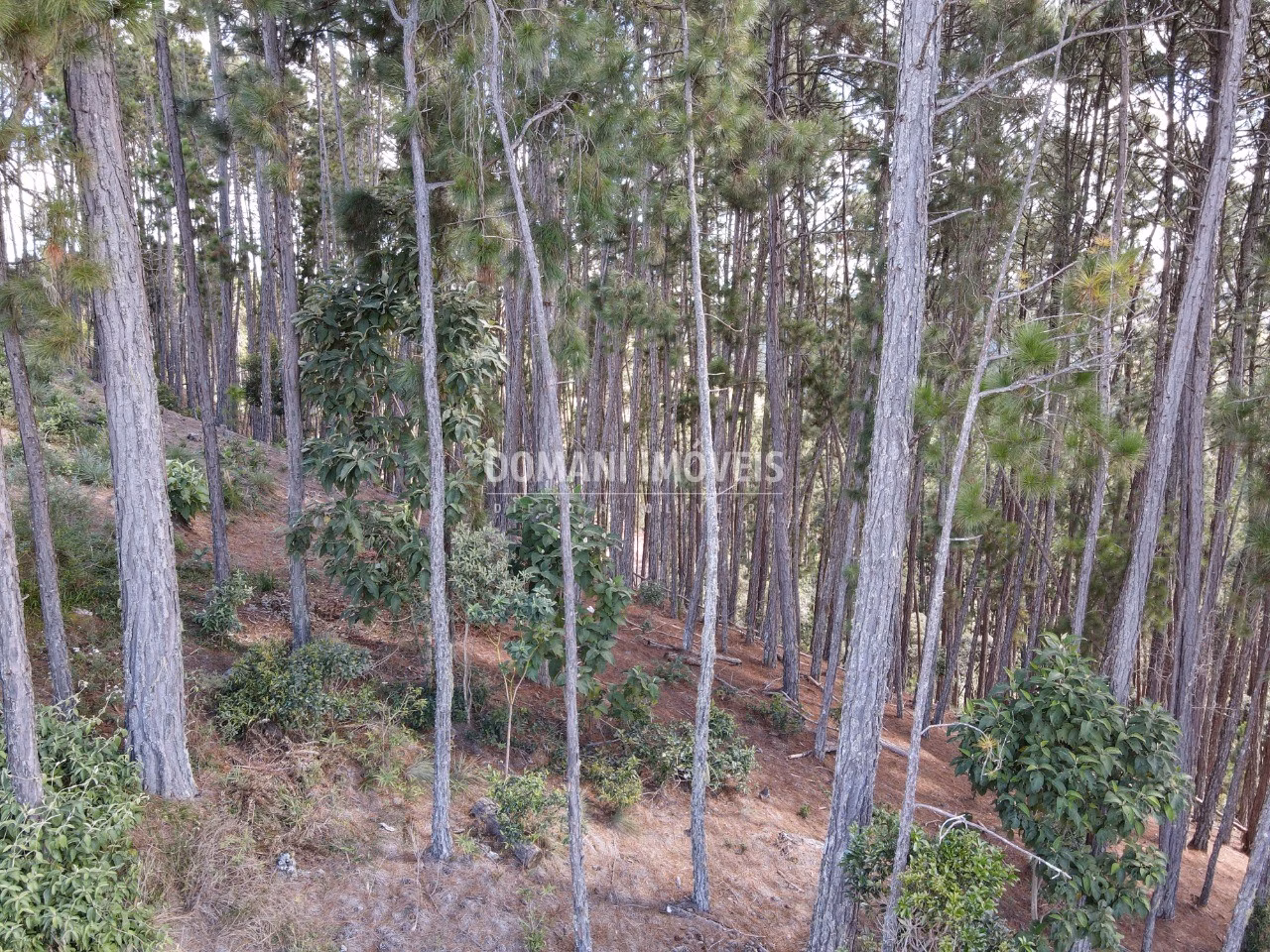 Plot of 1,800 m² in Campos do Jordão, SP, Brazil