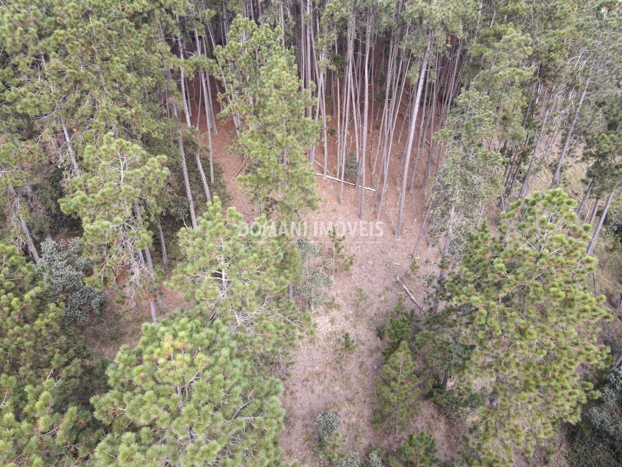 Plot of 1,800 m² in Campos do Jordão, SP, Brazil