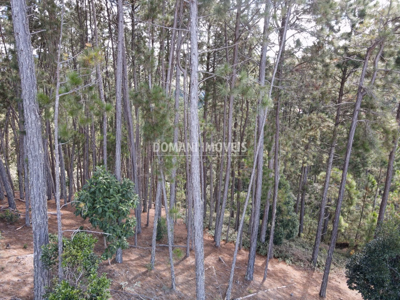 Plot of 1,800 m² in Campos do Jordão, SP, Brazil