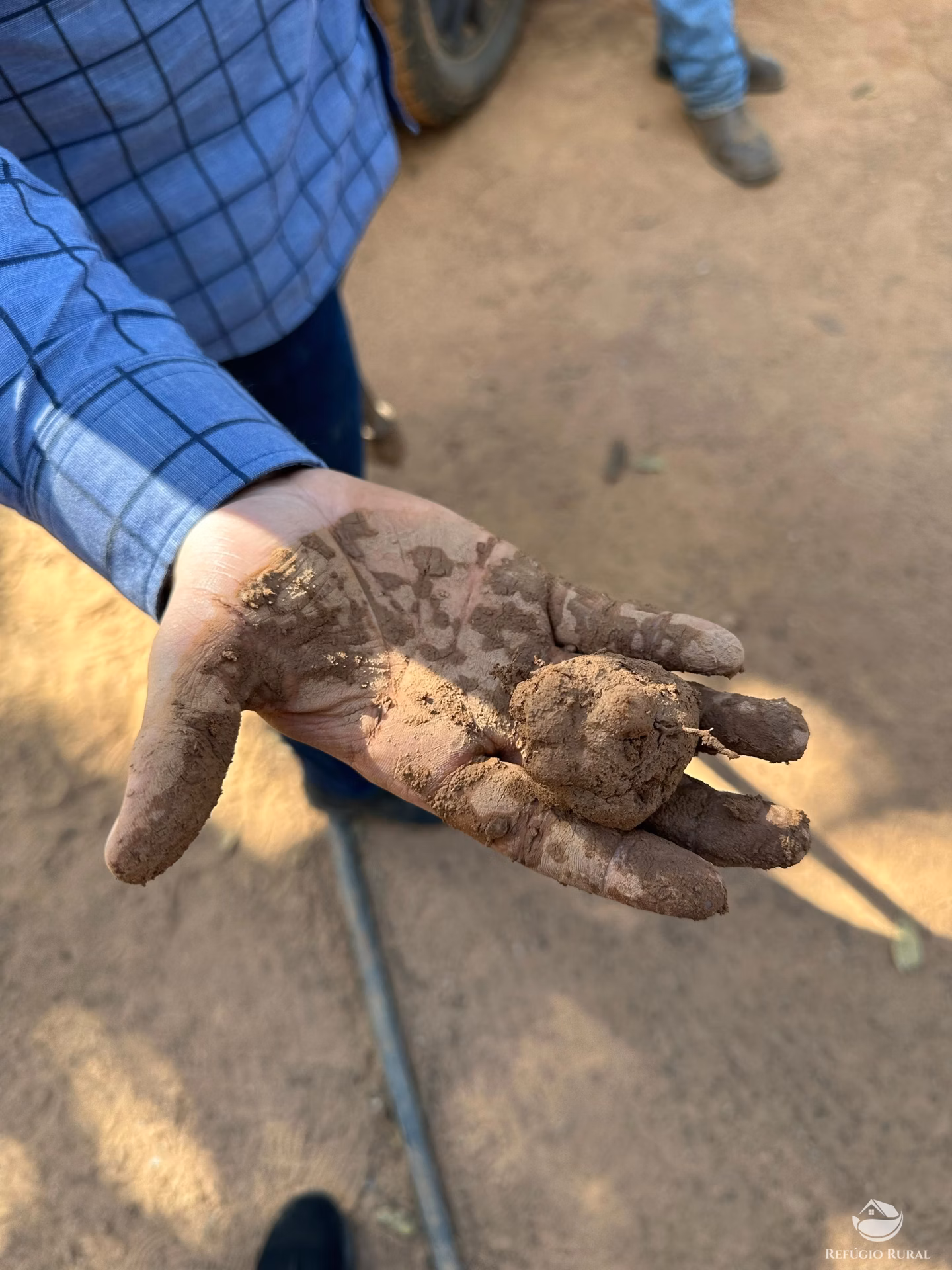 Fazenda de 3.100 ha em Nobres, MT