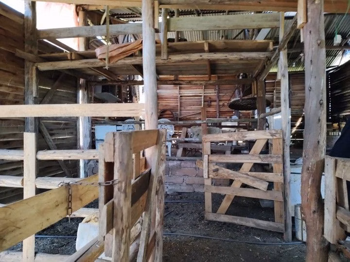 Sítio de 6 ha em Santo Antônio da Patrulha, RS