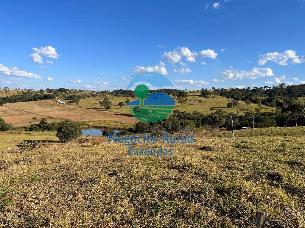 Fazenda de 206 ha em Cromínia, GO