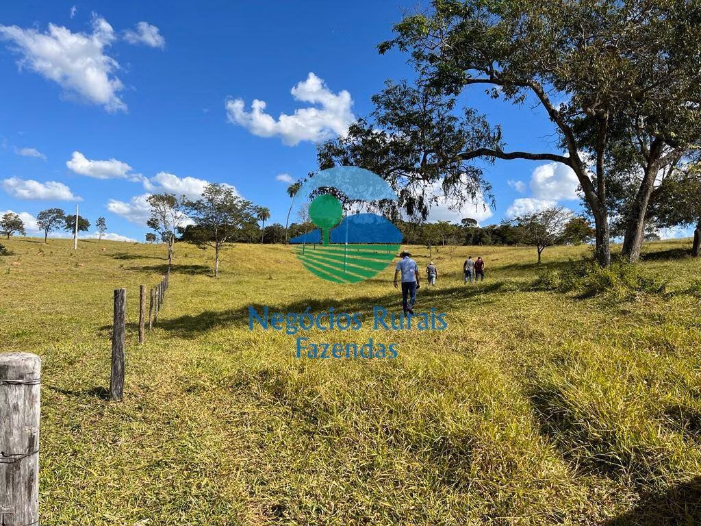 Fazenda de 206 ha em Cromínia, GO