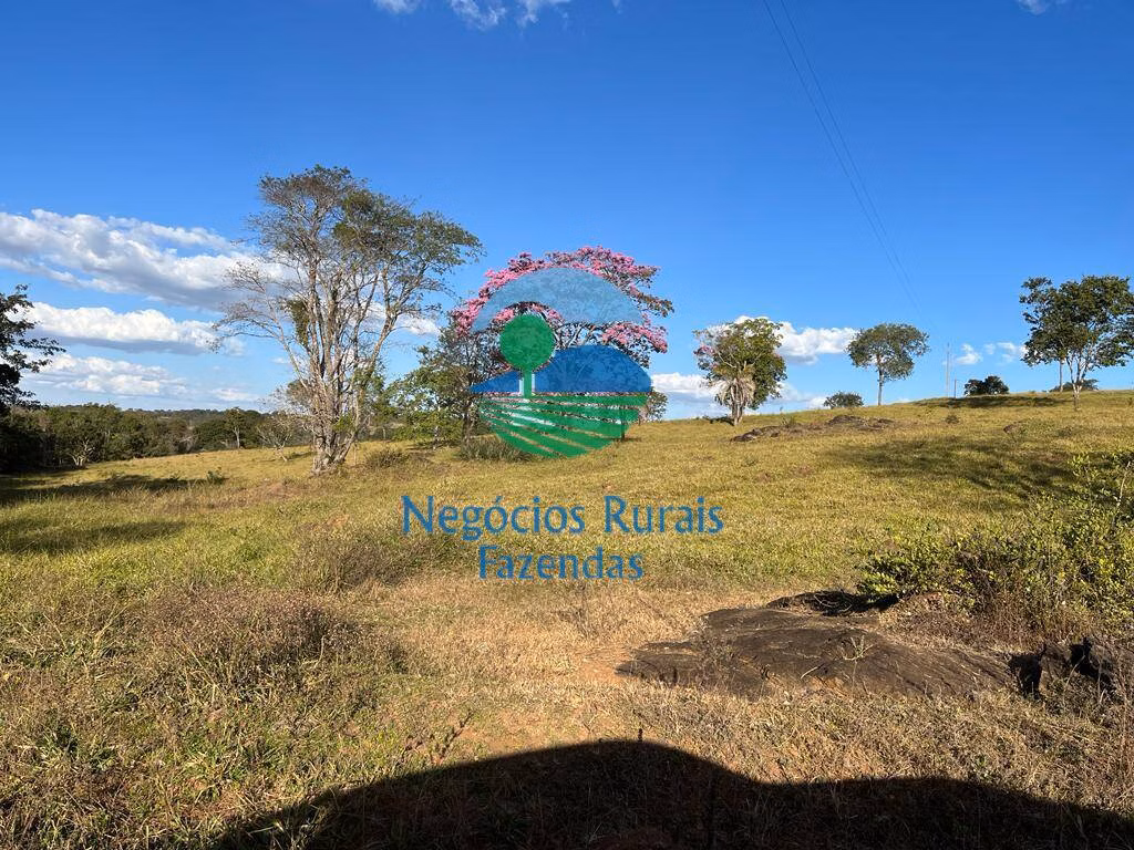 Fazenda de 206 ha em Cromínia, GO