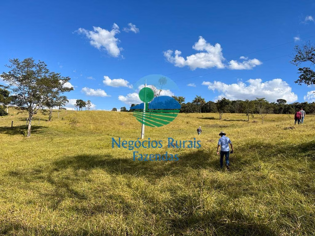 Fazenda de 206 ha em Cromínia, GO