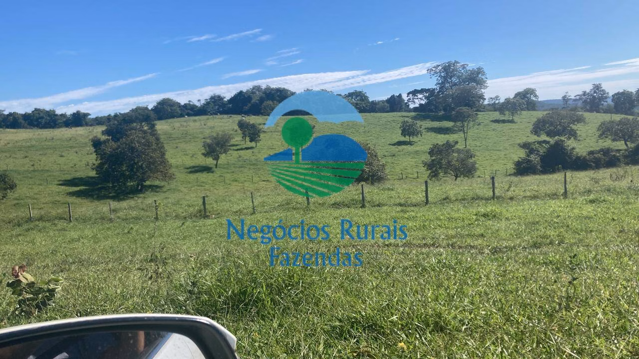 Fazenda de 206 ha em Cromínia, GO
