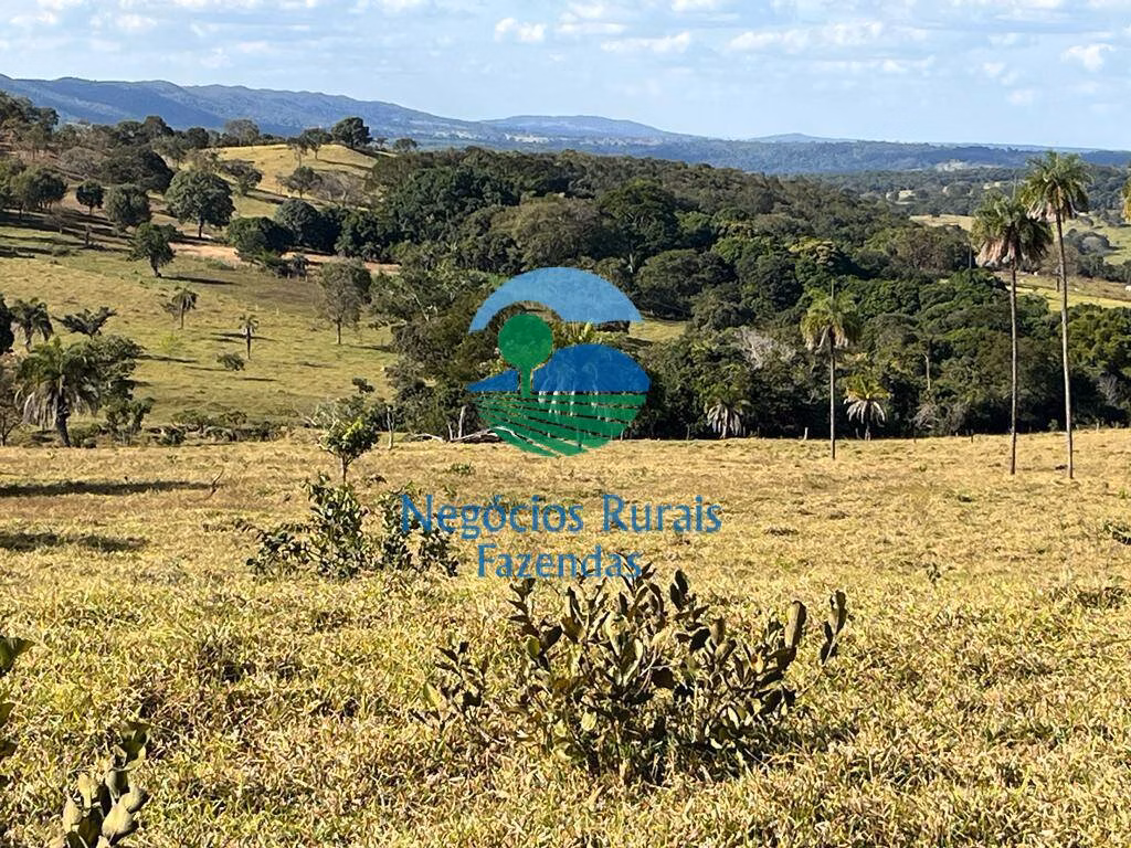 Fazenda de 206 ha em Cromínia, GO