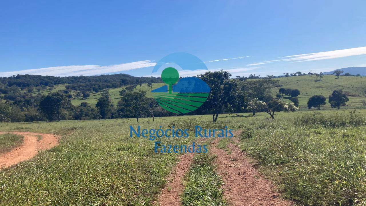 Fazenda de 206 ha em Cromínia, GO