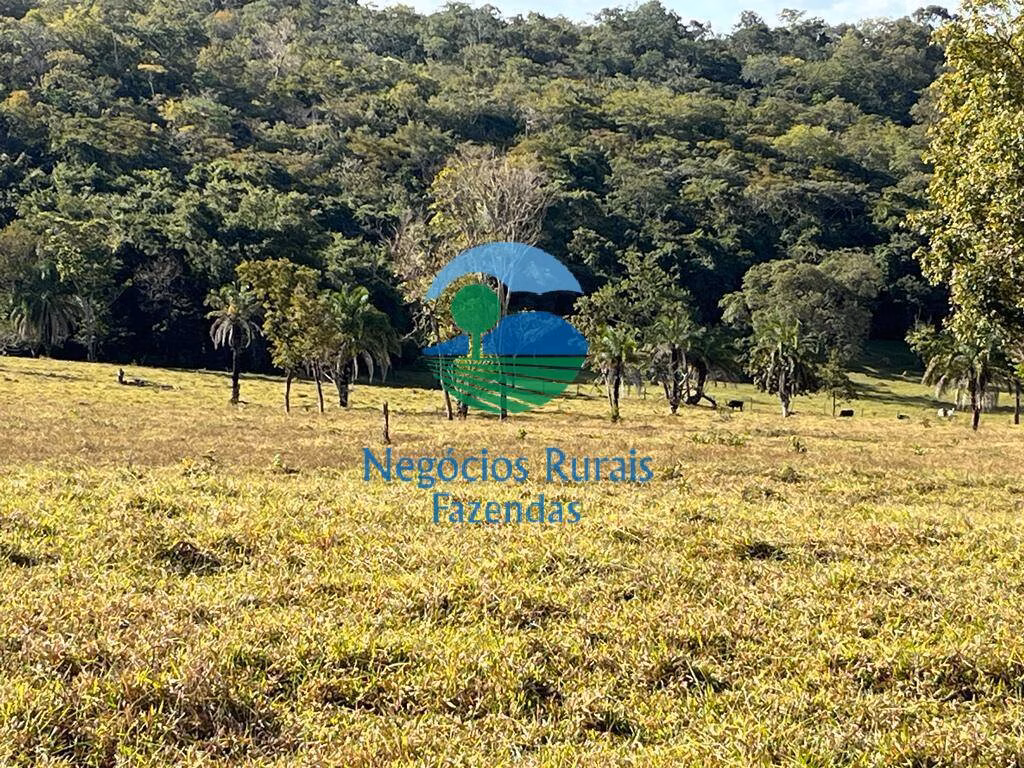 Fazenda de 206 ha em Cromínia, GO