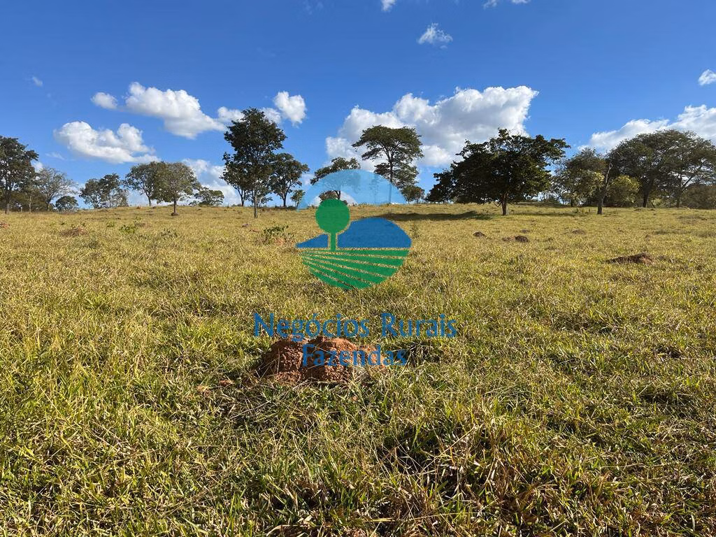 Fazenda de 206 ha em Cromínia, GO