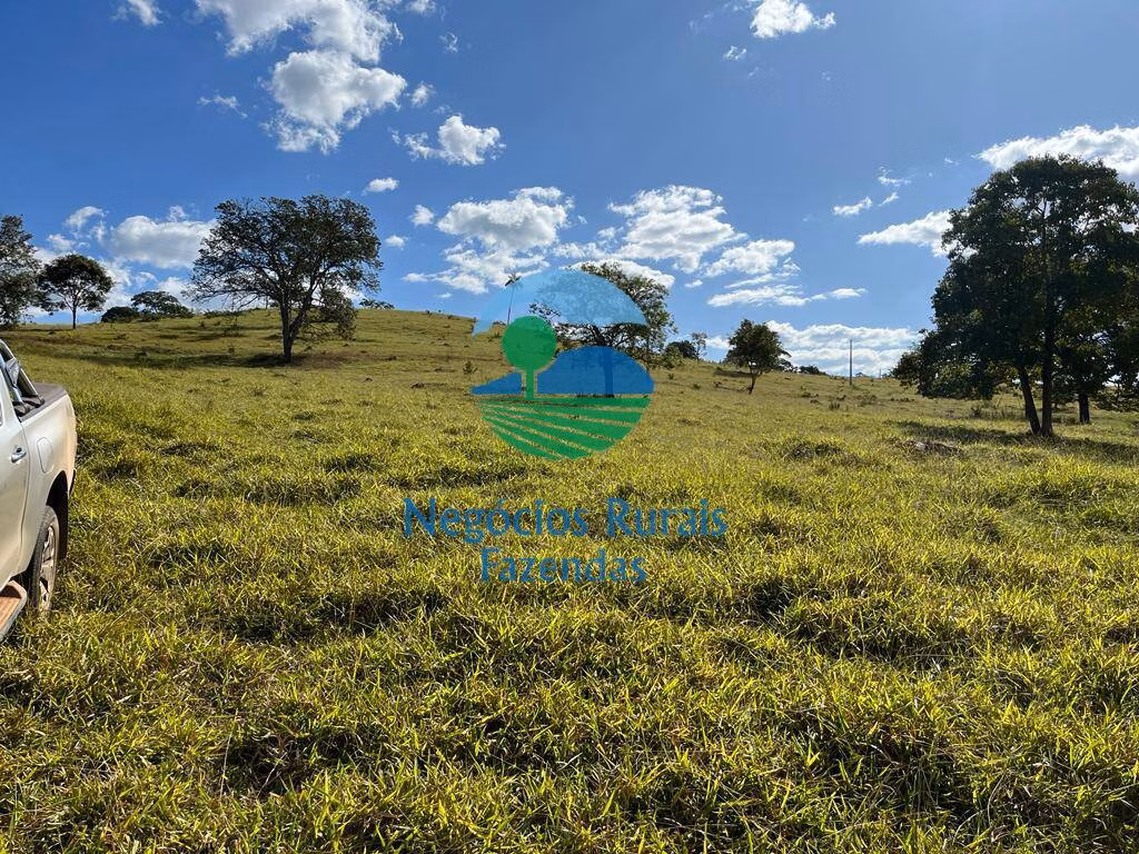 Fazenda de 206 ha em Cromínia, GO