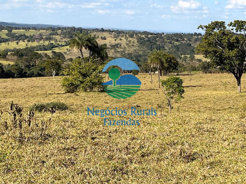 Fazenda de 206 ha em Cromínia, GO