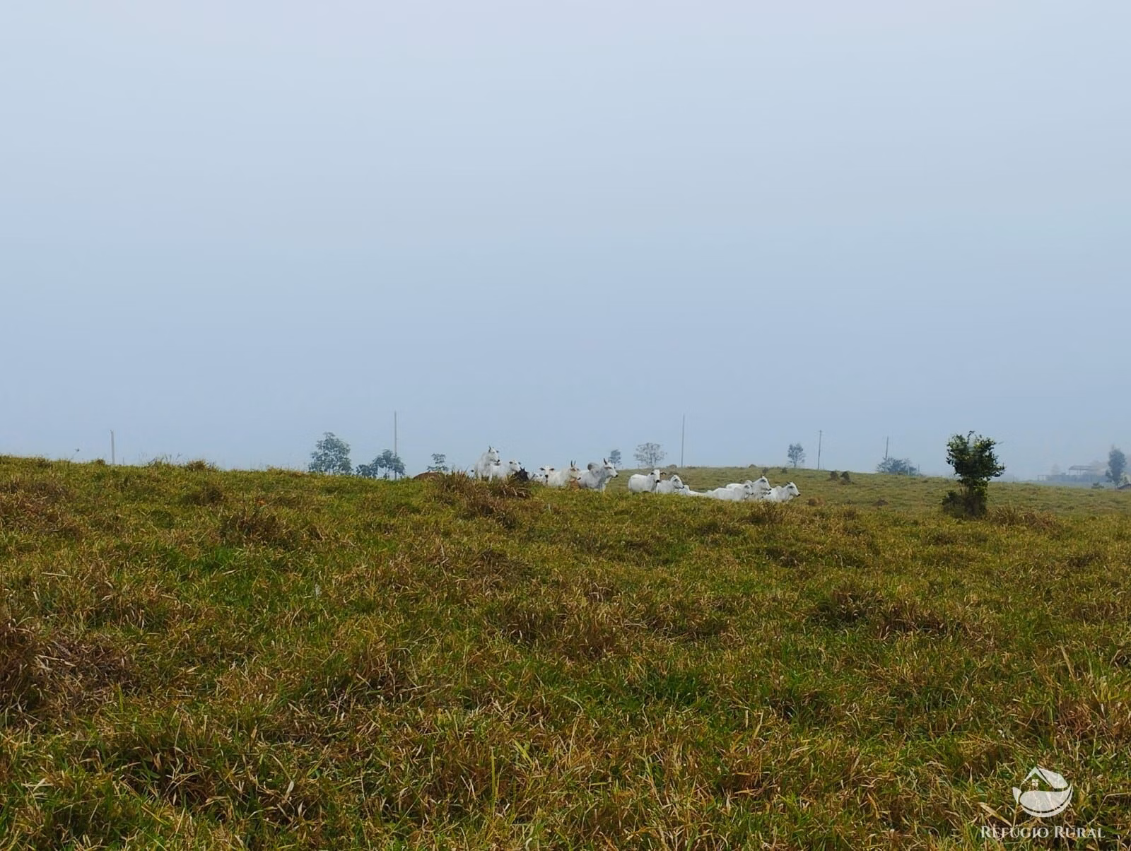 Small farm of 82 acres in São José dos Campos, SP, Brazil