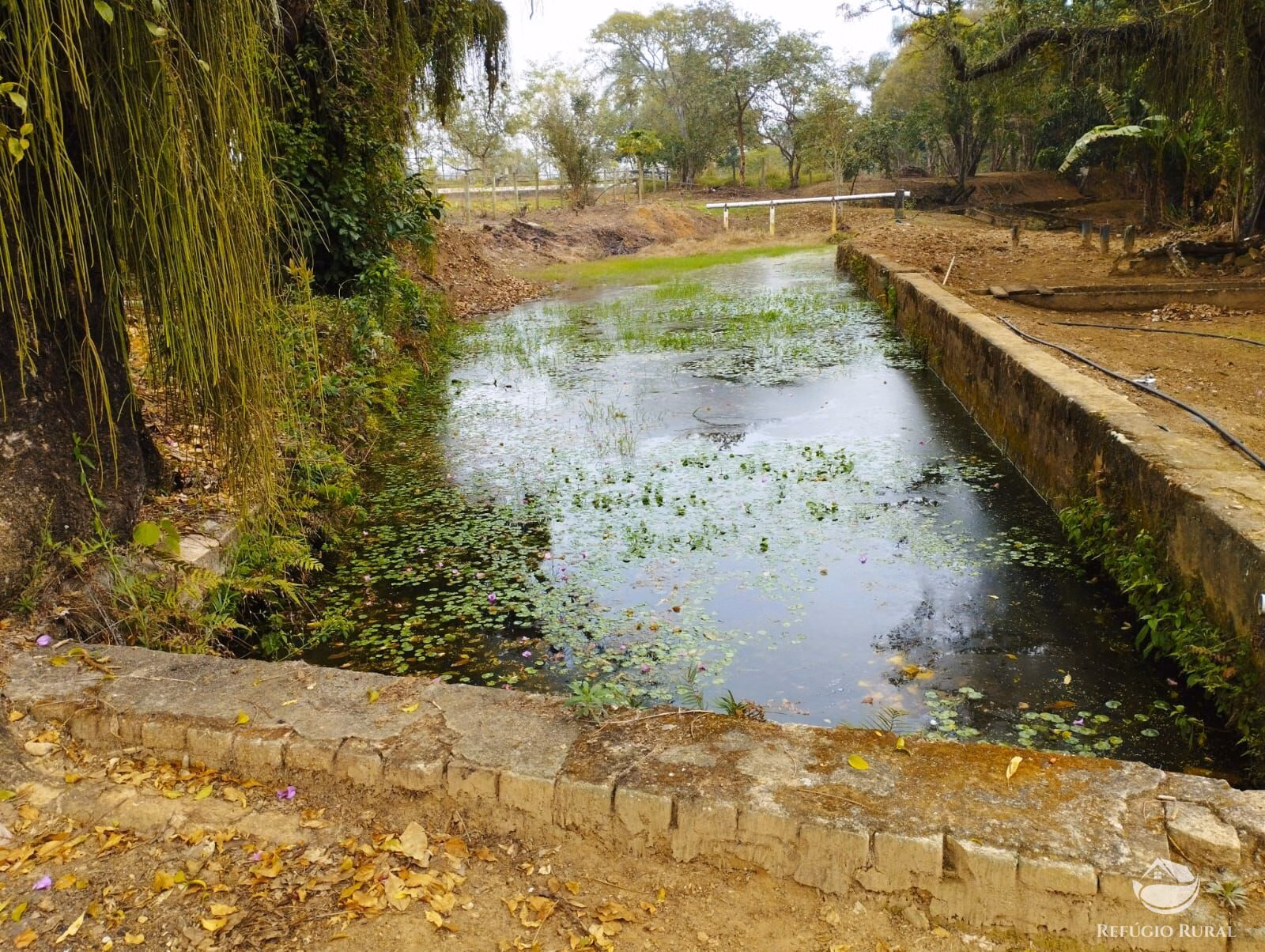 Small farm of 82 acres in São José dos Campos, SP, Brazil