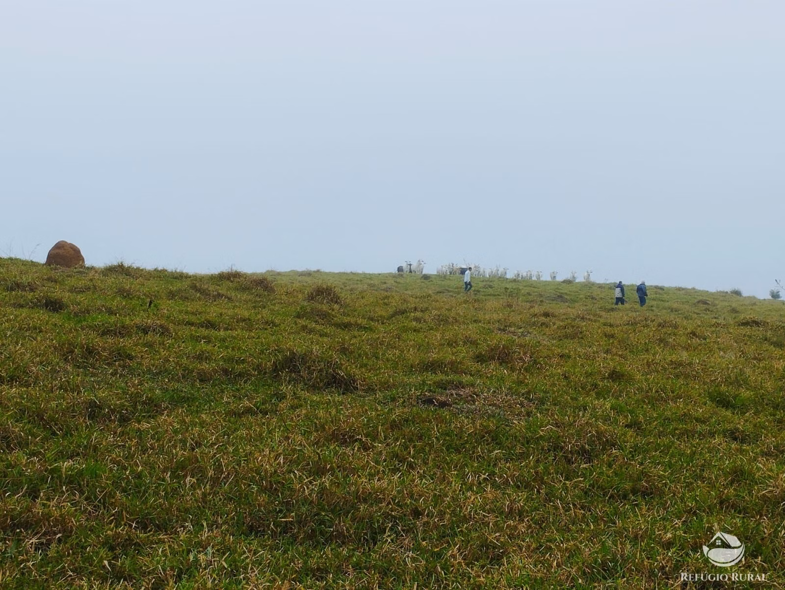 Small farm of 82 acres in São José dos Campos, SP, Brazil