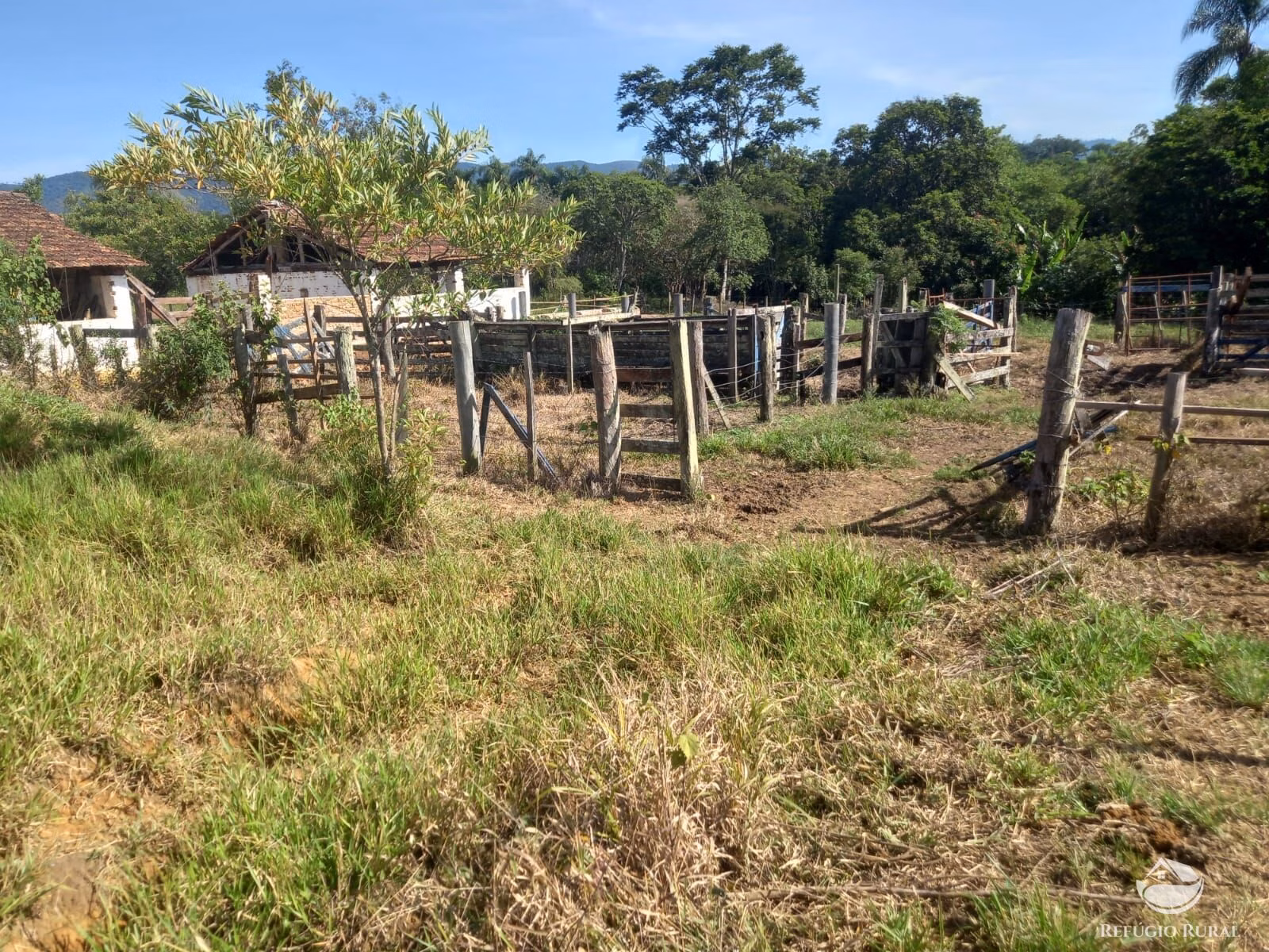 Small farm of 82 acres in São José dos Campos, SP, Brazil