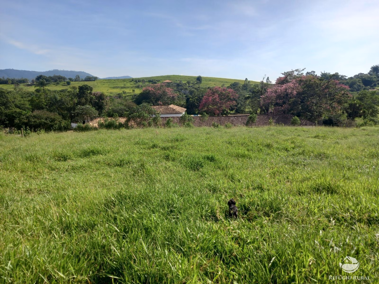 Small farm of 82 acres in São José dos Campos, SP, Brazil