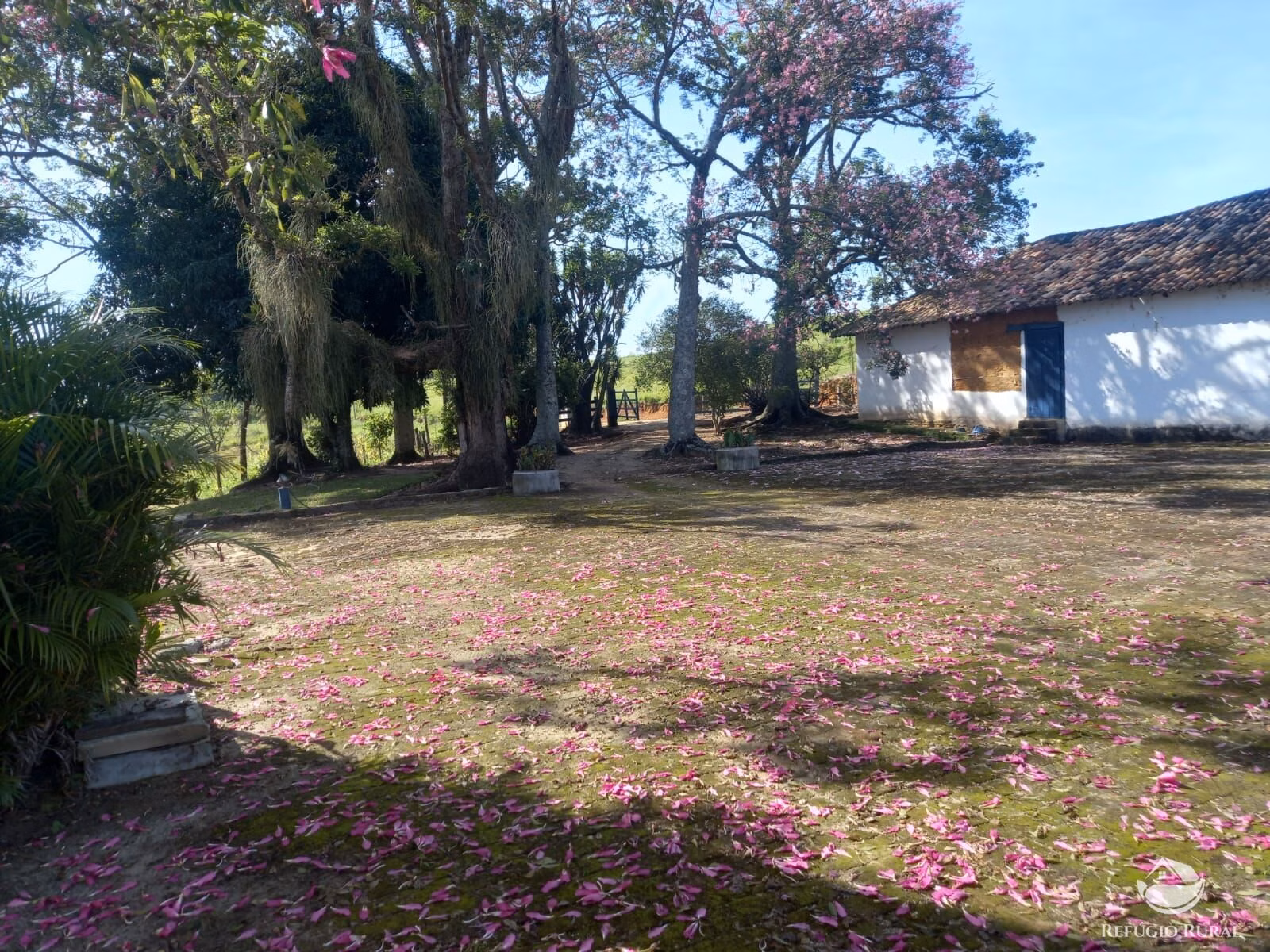 Small farm of 82 acres in São José dos Campos, SP, Brazil