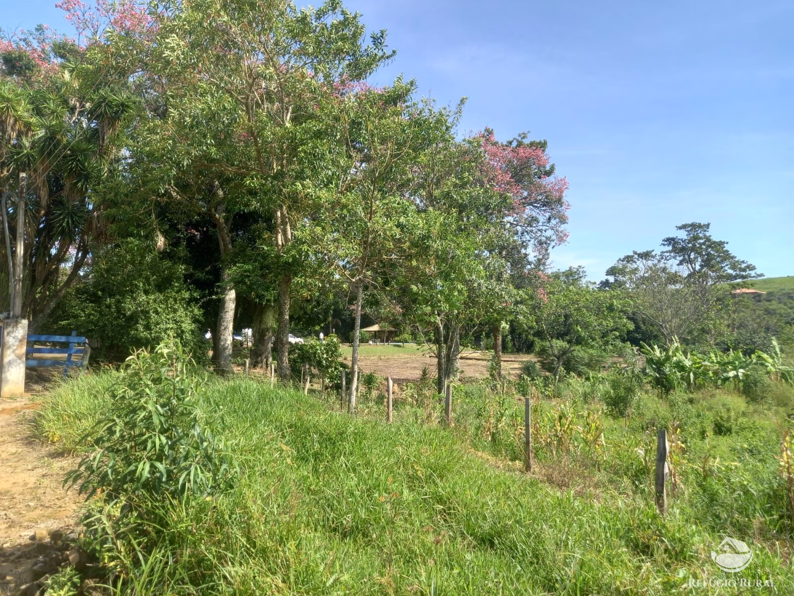 Small farm of 82 acres in São José dos Campos, SP, Brazil