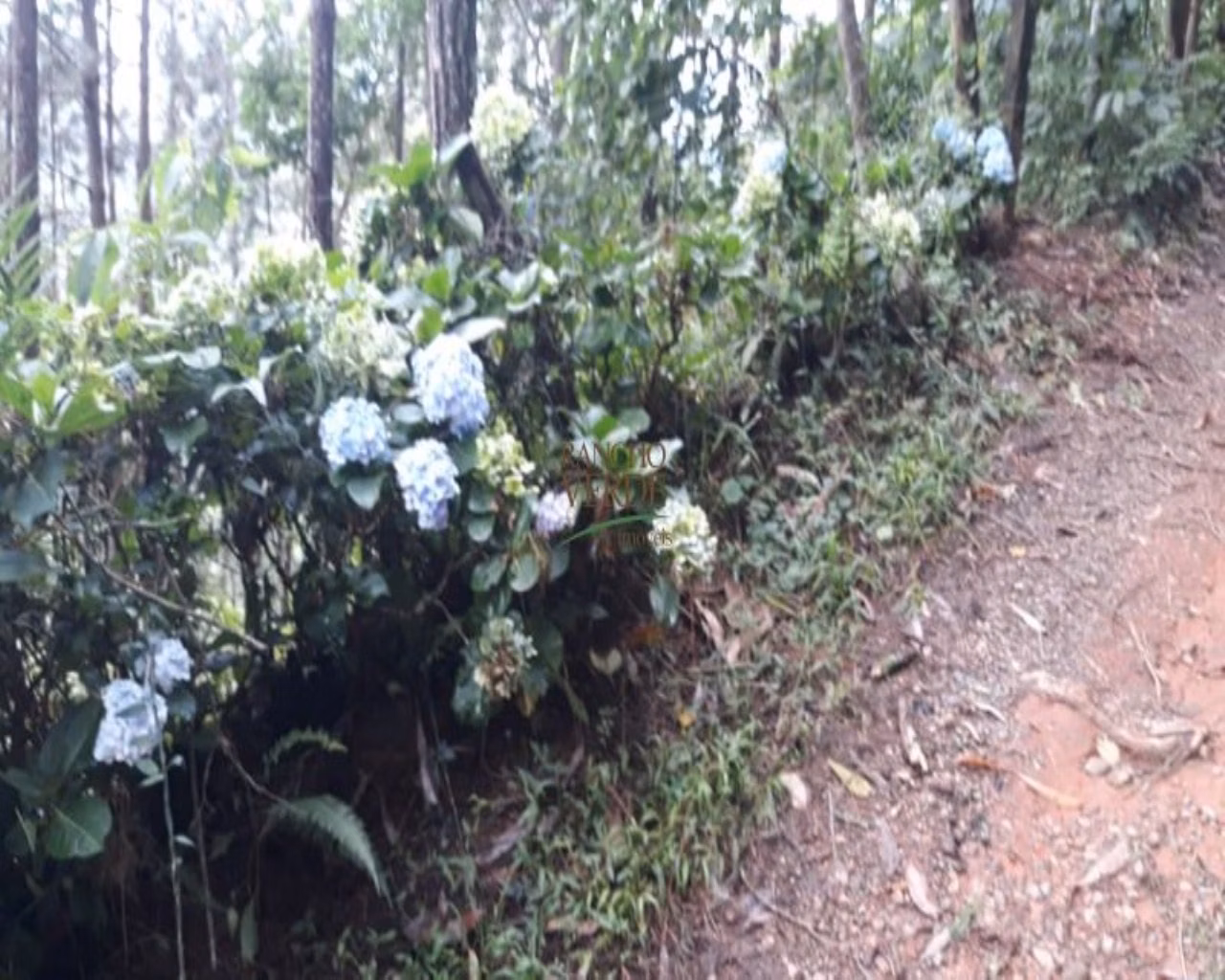 Terreno de 2 ha em São José dos Campos, SP